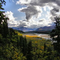 Denali Park