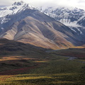 Shadows on the tundra in Denali Park