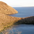 Darwin's Lake