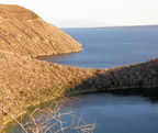 Darwin's Lake