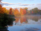 Ottawa Marsh