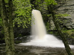 Deer Leap Falls