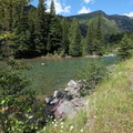 Moose Country