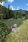 Moose Country