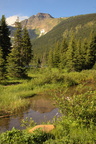 Cameron Lake Area