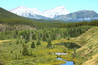 On the Kananaskis Trail