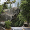 Road Hazard