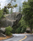 Road Hazard