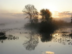 Sunrise Over Big Dailey Bayou