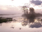 Sepia Morning