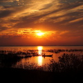 Sunset Fishing