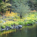 Merced River