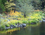 Merced River