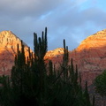 Zion Sunset