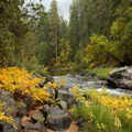 Merced River