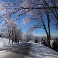 After the Ice Storm