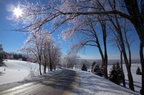 After the Ice Storm