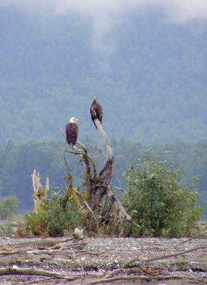 normal_P8222701_cropped2.JPG