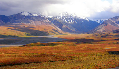 normal_P8283175_Red_Tundra.JPG