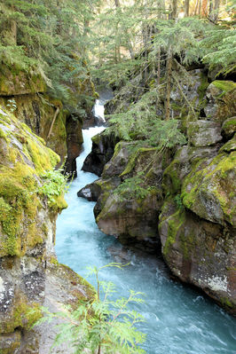 normal_IMG_4445adj_2000x3000.JPG