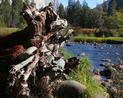 normal_IMG_1863_cropped_2400x3000.JPG