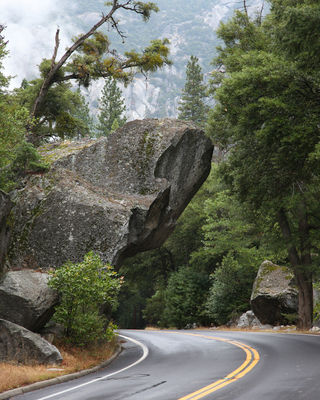 normal_IMG_2754_cropped_2400x3000.jpg